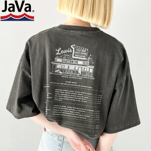 《javaジャバコラボ》送料無料 トップス Tシャツ レディース 綿100％ ダイナープリント ヴィンテージ ピグメント ビッグ Tee 男女兼用 ユニセックス メンズ ゆるっと オーバーサイズ 大きいサイズ 春 夏 2024ss クラシカルエルフ jv1029045