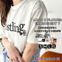 \早い者勝ち★本日限定 390円OFFクーポン 7/18 23:59まで/ トップス Tシャツ レディース 綿 100% 天竺素材 ロゴ × フラワー 刺繍 ビッグ T 半袖 大きいサイズ 春 夏 2025ss クラシカルエルフ ce1260485
