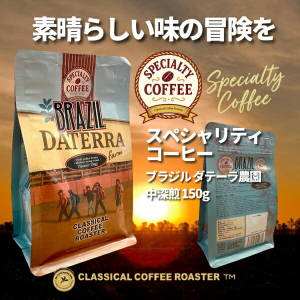 クラシカルコーヒーロースターのコーヒー豆 スペシャリティコーヒー ダテーラ農園 ブラジル ブルボン 中深煎 豆のまま 150g｜アングル2