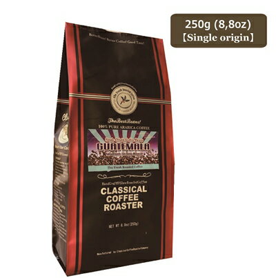 コーヒー豆 送料無料 グアテマラ 250g(8.8oz) 【 豆 or 挽 】クラシカルコーヒーロースター