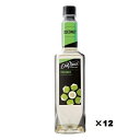 Davinci ダヴィンチ フレーバーシロップ ココナッツPET 750ml 12本セット