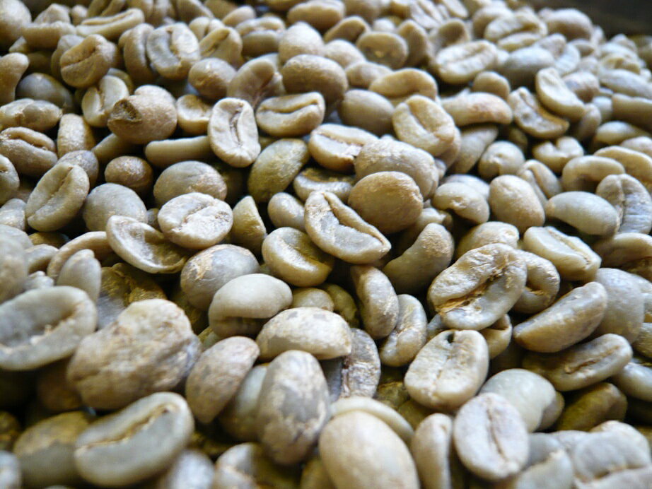 アラビカコーヒー生豆 コロンビア エクセルソ Colombia Excelso 8kg 自家焙煎 2