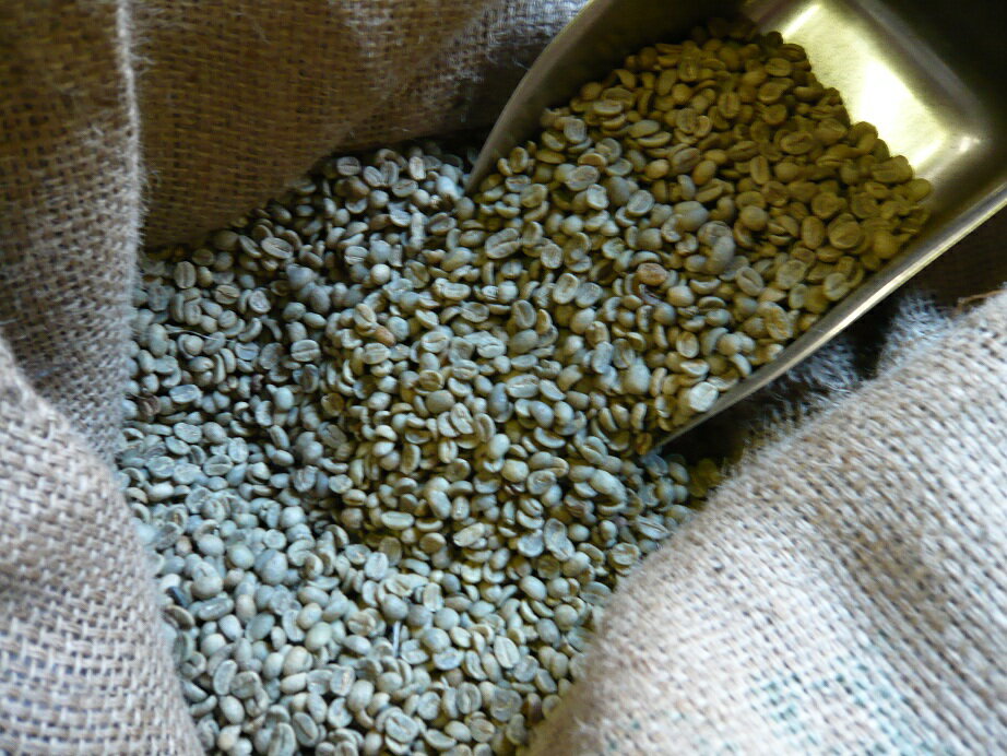 アラビカコーヒー生豆 グアテマラ SHB 500g