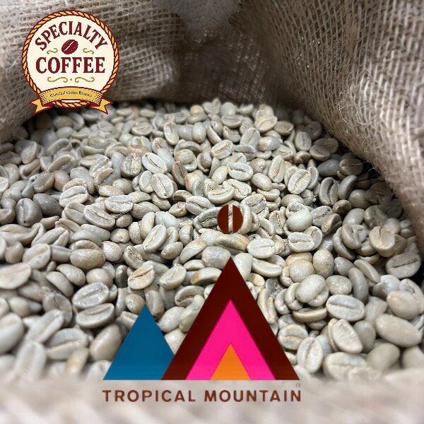 乐天商城 - スペシャリティコーヒー パプアニューギニア トロピカルマウンテン コーヒー生豆 500g