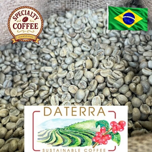 乐天商城 - スペシャリティコーヒー ブラジルダテーラ農園 コーヒー生豆 1kg