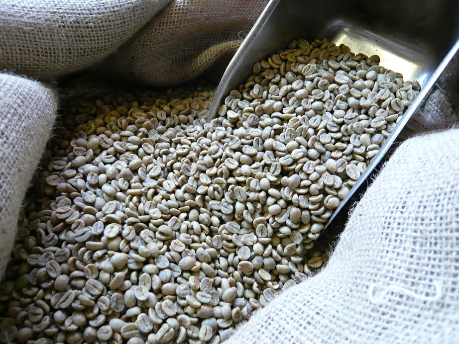 アラビカ コーヒー生豆 ブラジル サントス Brazil Santos NO2　SC17/18　500g