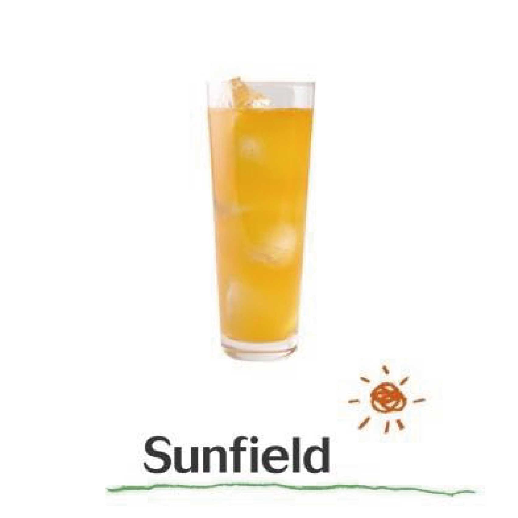 ���İ��� ����󥸥����� ��ѥå� 1000ml