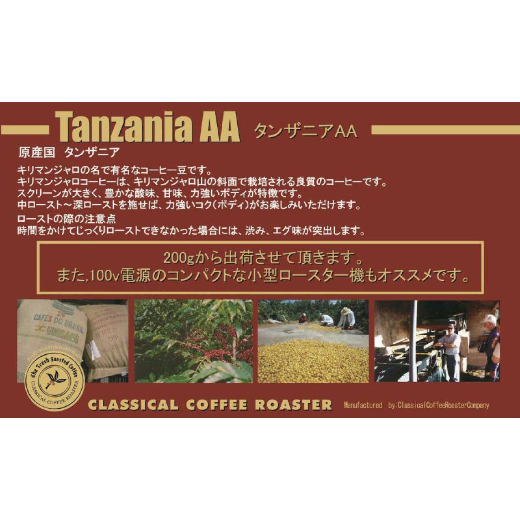 アラビカコーヒー生豆 タンザニア AA （キリマンジャロ）Tanzania AA 3kg 自家焙煎