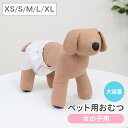 【2025新商品】ペット用おむつ ペット用オムツ XS〜XL マナーおむつ 犬用おむつ 女の子 瞬間吸収 逆戻り防止 モレにくい 快適 おでかけ 介護 術後 お...