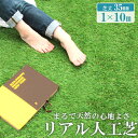 【最大2,000円OFFクーポン】人工芝 ロール 1m×10m 芝丈35mm 芝生マット 人工芝生 人工芝マット 人工芝ロール ロールタイプ 固定ピン 庭 ベラ...