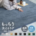 【抗菌 防ダニ 極厚】ラグ 洗える 厚手 ふわふわ 暖かい ラグマット 200×250cm 3畳 ホットカーペット 床 暖房 対応 こたつ ラグ 低反発 滑り止め付き オールシーズン 秋 冬 洗える ラグ おしゃれ 北欧 カーペット 絨毯 一人暮らし