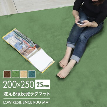 【送料無料】【抗菌 防ダニ】極厚25mm ラグ ラグマット 北欧 低反発ラグ 滑り止め 200×250cm 3畳用 オールシーズン 防音マット ホットカーペット対応 マット ラグ 厚手 カーペット シャギーラグ モダン 低反発 おしゃれ 冬用 夏用 新生活 送料無料