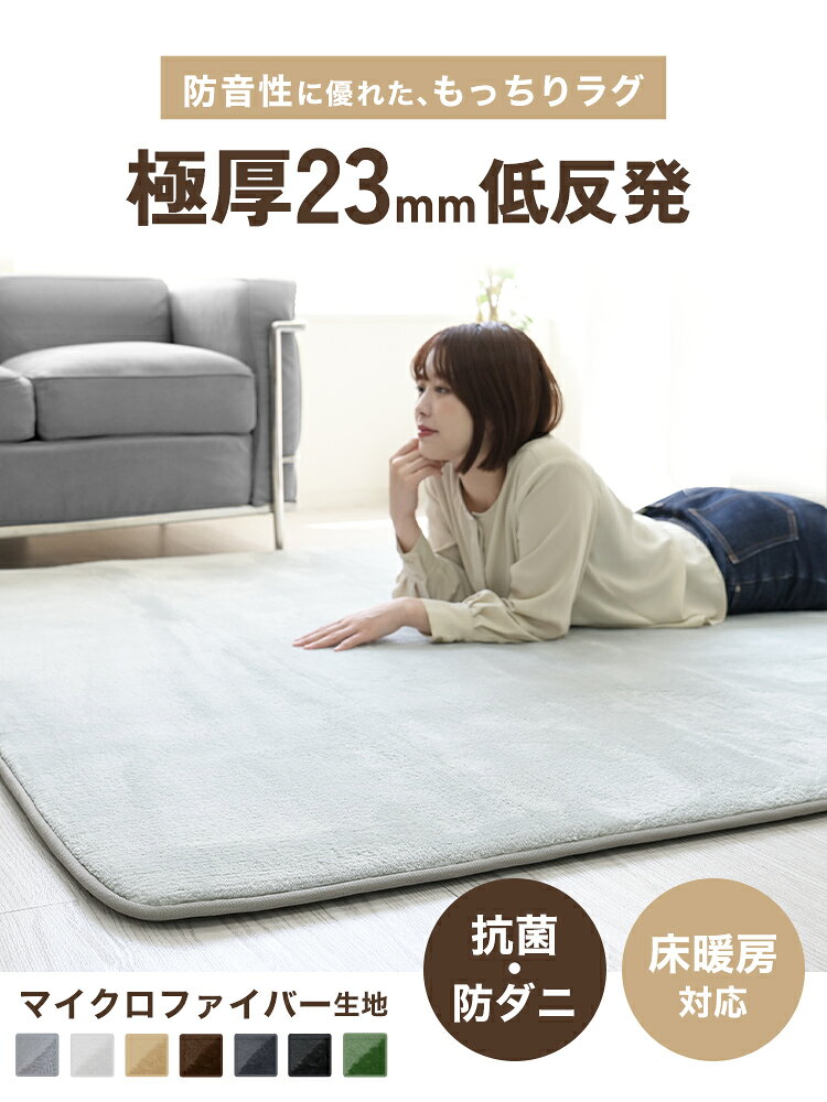極厚 ラグ 洗える 抗菌 防ダニ 厚手 ふわふわ 暖かい ラグマット 200×250cm 3畳 ホ...