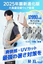 classort:10001225のサンプル画像2