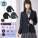 小学生 学生服 制服 スカート 上下セット 通学スカート イートン 小学生 上着 スカート ジャケット スクールスカート 学生服 女の子 学校 キッズ スクール 女子 ダブル ポロシャツ 学生服 ズボン 学校 学生服 小学校