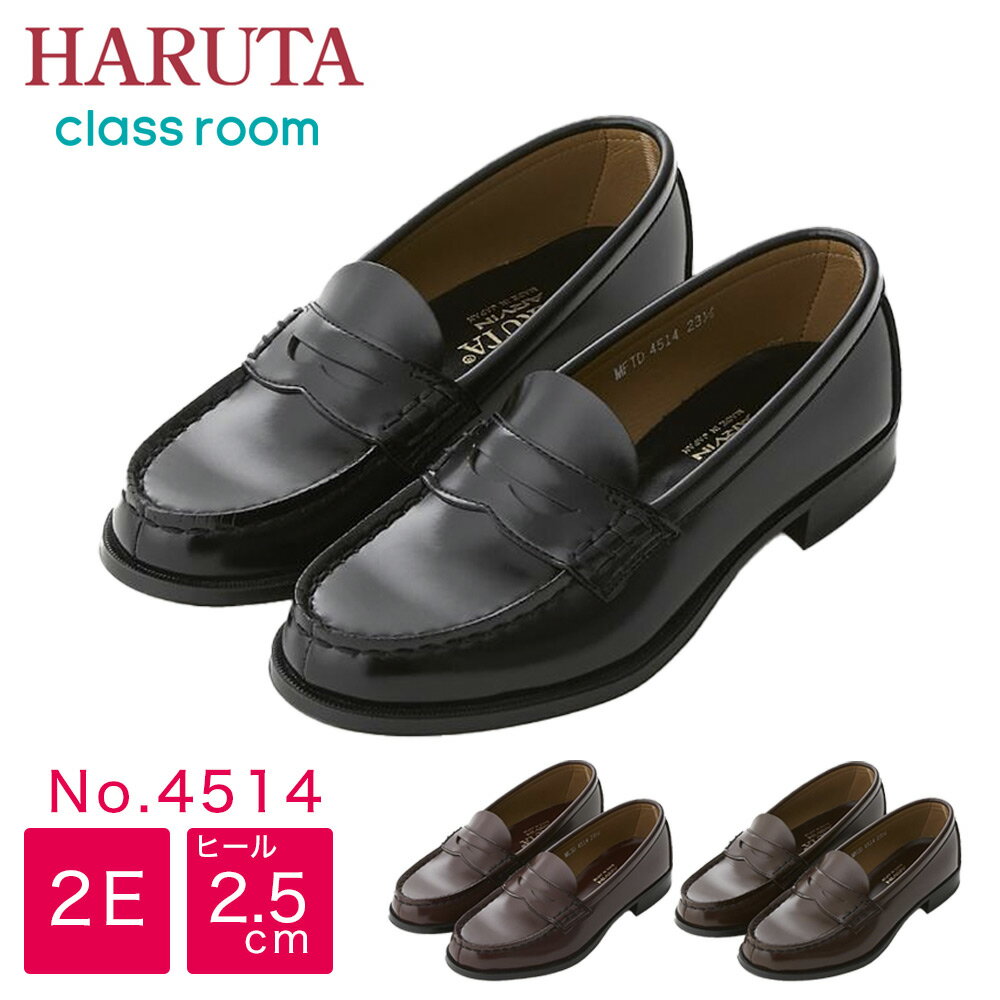    HARUTA[t@[ 4514 2E   n^ fB[X q ̎q q w ʊw ʋ  { Y ubN uE EE classroomS