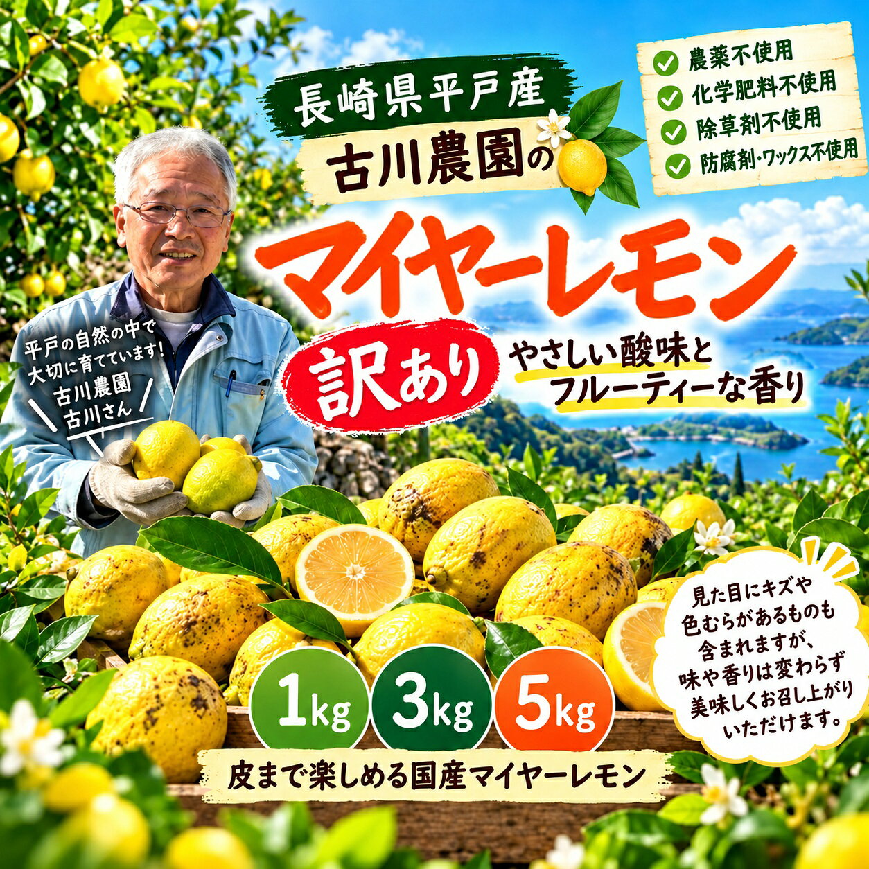瑕疵品 長崎・平戶的山中自然栽培。溫和酸味與淡淡甜味、水果香氣。無農藥・無化學肥料・無除草劑・無防腐劑・無蠟的國產邁爾檸檬由古川農園產地直送。