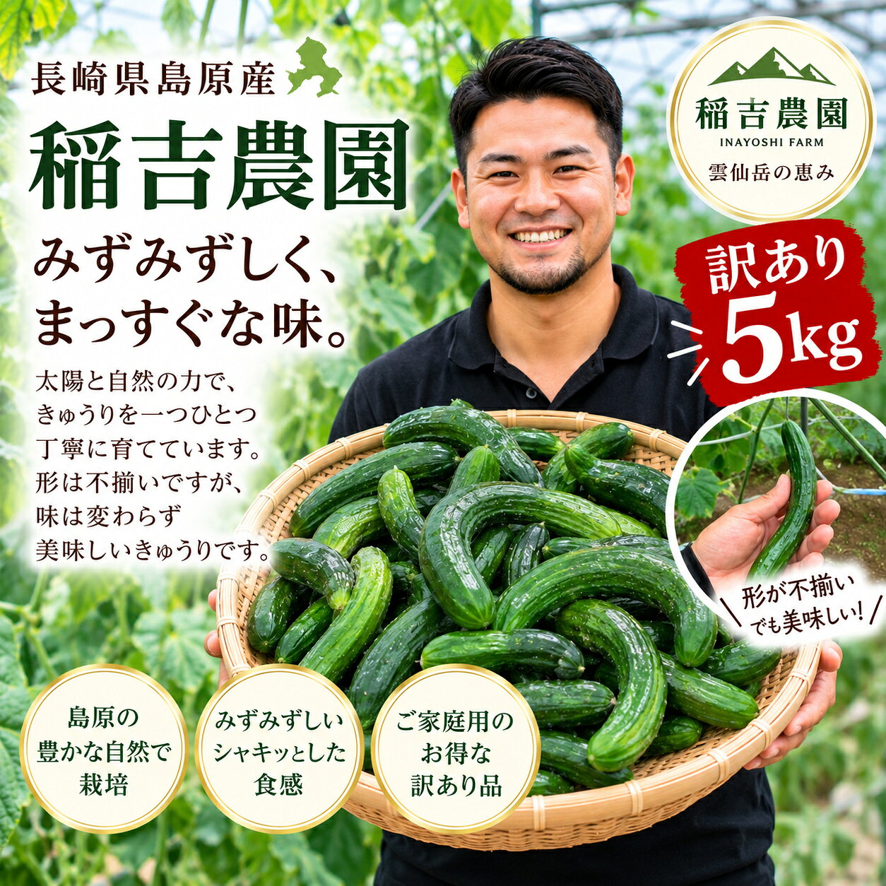 楽天市場】5kg（キュウリ｜野菜・きのこ）：食品の通販