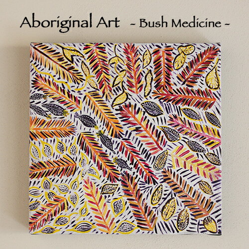 【Aboriginal Art / アボリジナルアート】Bush Medicine by Colleen Morton（aba-04）：オーストラリアの先住民アボリジナルの人々により描かれたアートオーストラリア／先住民／アボリジナル／アボリジニ／アボリジニアート／絵画／現代美術／aba-04