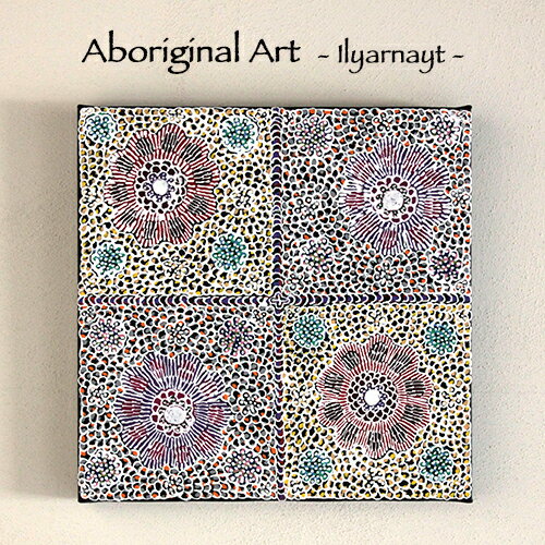 【Aboriginal Art / アボリジナルアート】Ilyarnayt (Acacia Flower) by Michelle Lion Kngwarreye（aba-06）：オーストラリアの先住民アボリジナルにより描かれたアートオーストラリア／先住民／アボリジナル／アボリジニ／アボリジニアート／絵画／現代美術／aba-06