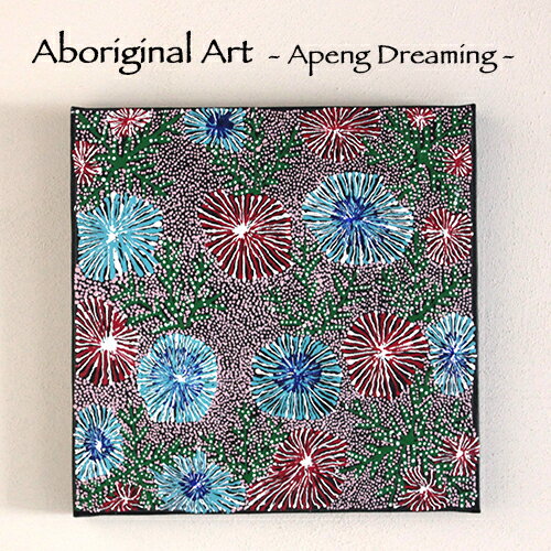 【Aboriginal Art / アボリジナルアート】Apeng (Kurrajong) Dreaming by Katie Kemarre（aba-10）：オーストラリアの先住民アボリジナルにより描かれたアートオーストラリア／先住民／アボリジナル／アボリジニ／アボリジニアート／絵画／現代美術／aba-10