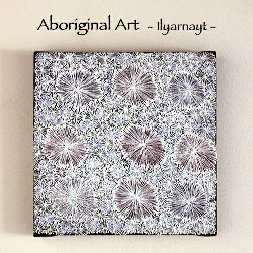 【Aboriginal Art / アボリジナルアート】Ilyarnayt (Acacia Flower) by Lucky Morton Kngwarreye（aba-12）：オーストラリアの先住民アボリジナルにより描かれたアートオーストラリア／先住民／アボリジナル／アボリジニ／アボリジニアート／絵画／現代美術／aba-12