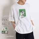 【N1】tシャツ レディース 半袖 プリント オーバーサイズ ビッグシルエット 綿 トップス 韓国 犬 ドッグ アニマル 白t 半袖tシャツ ゆったり カジュアル 体型カバー ハーフスリーブ 体型カバー（1000円均一）『返品 交換不可』