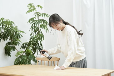 ウイルス除去・除菌スプレー300ml、3本セット(化粧箱入り)キッチン トイレ 玄関 クローゼット 衣類 靴 下駄箱 寝具 枕 スリッパ 消臭 除菌 ギフト ペット用品 ギフト 介護 介護施設 保育園 幼稚園 保育所 犬 猫 プロ仕様 プロ用 母の日 父の日