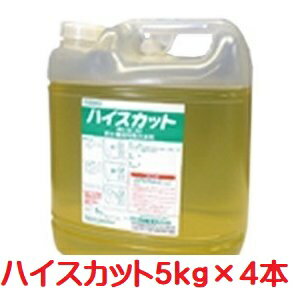 和協産業　ハイスカット（5kg 4本）　業務用 貯水槽洗浄剤 受水槽 高架水槽 鉄さび除去剤