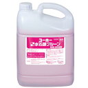 ミッケル化学 薬用水石鹸プルーン(5L×2本)【業務用 手洗い洗剤 ユーホーニイタカ】(3)