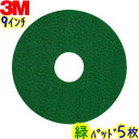 3MWp tApbh 9C`  5Zbg O[XNrOpbh Ɩp tA|bV[p GREEN X[GWp pbg 8inch