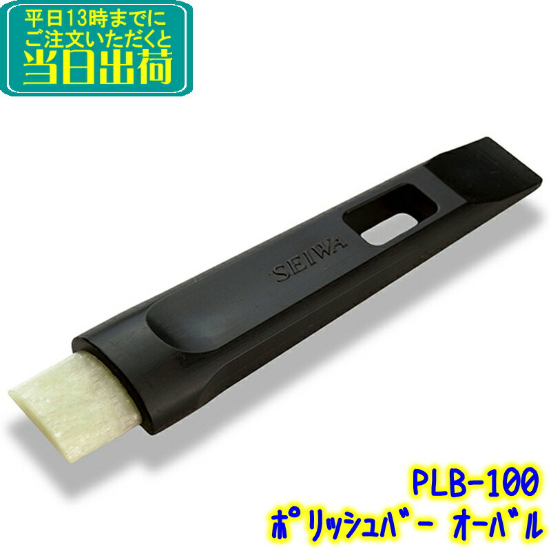 セイワ　ポリッシュバー オーバル（PLB-100）1本 　業務用 水あか 黒ずみ 尿石 水垢落とし 除去 トイレ尿石除去剤 洗面台 便器 便所 清掃 掃除