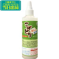 こげとり ぱっとビカ （300g）頑固な焦げ付きが塗るだけで簡単に落とせます【業務...