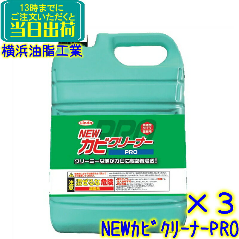 横浜油脂　リンダ NEWカビクリーナーPRO 4.5kg×3本セット （泡スプレーボトル3本付）【業務用 カビとり 黒かび 除去 落とし 掃除 ニューカビクリーナープロ