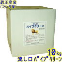 エタニ産業 流し口パイプクリーン(10kg) 業務用 流し口配管や建物全体の配管洗浄 10キロ 蔵王産業