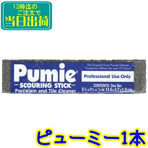 ピューミー 1本 PU-100 クリーナースティック【業務用 尿石落とし 水垢落とし トイレ尿石除去剤 便器 軽石 陶器洗浄石ピューミィ ピューミイ】