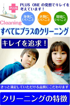 【送料無料】 クリーニング 宅配 詰め放題 5点 宅配クリーニング ダウン スキーウェア スノボウェア コート OK