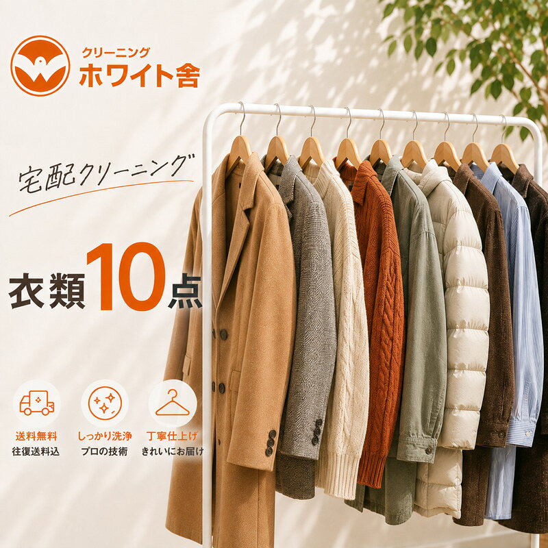 衣類クリーニング10点 宅配 保管付き 送料無料 最大6ヶ月保管 最短到着後10〜15営業日返却 衣替え スーツ コート ダウン