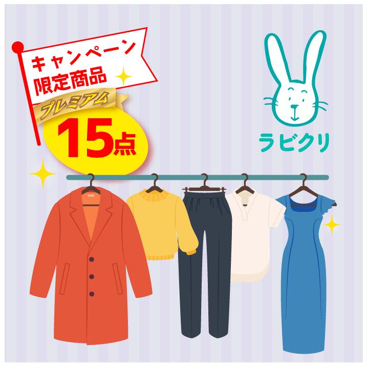 【スーパーSALE半額】クリーニング　宅配　保管なし　プレミアムコース　最速便　15点パック　送料無料の宅配クリーニング 衣替え 新生活 シミ抜き 片付け 抗菌 防虫