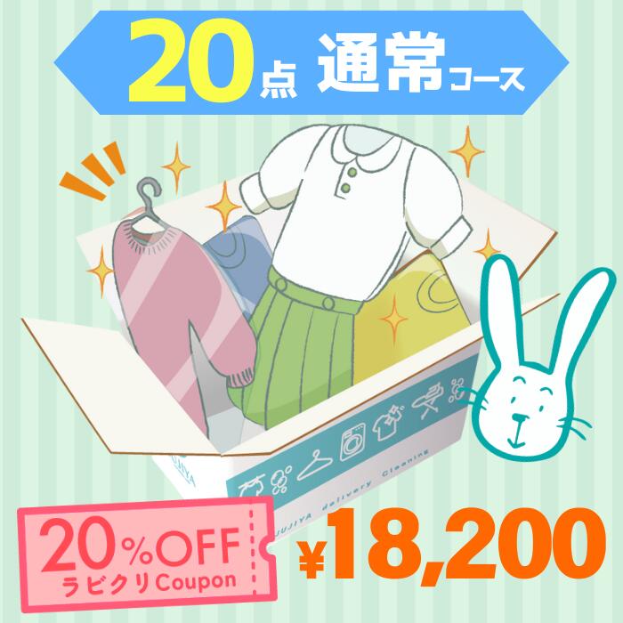 送料無料！最短5営業日スピード仕上げ 最速便コース20 点パック