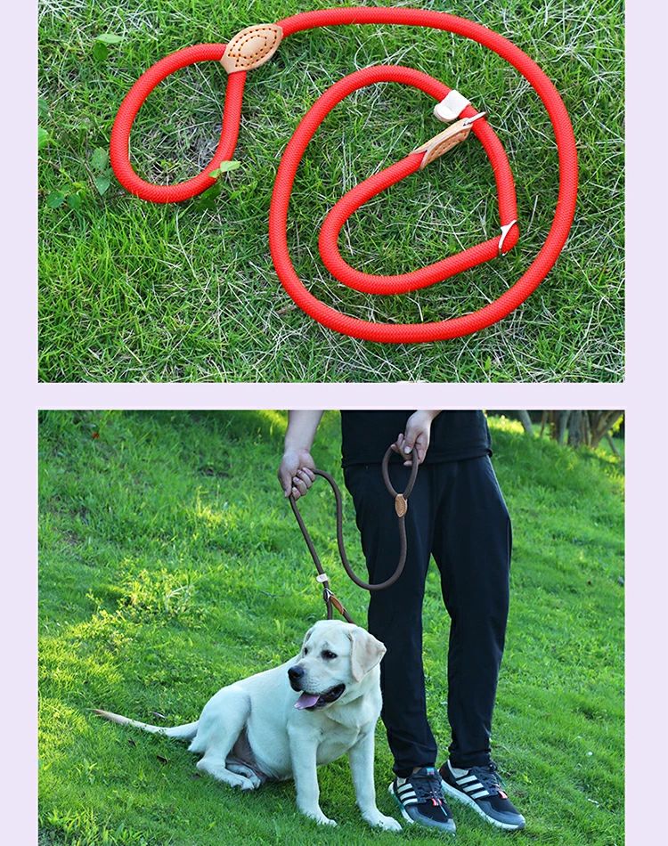 クリーニングエイトのペッ 柔らかい 抜けない 可愛い 小型犬 中型犬 大型犬 夏 単品 首輪 ロープ トレーニング ハーネス 一体型 リード｜アングル3