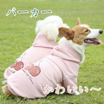 商品詳細カラー：ピンクサイズ（cm）：（1）背丈（2）首周り（3）胸周り（4）お勧め体重kgXS 20-24/21/35/1.5-2.5S 24-29/28/42/3-4M 29-35/34/47/4.5-5.5L 33-39/38/52/6-8.5XL 37-43/42/60/9-122XL 40-46/45/65/12.5-153XL 42-50/48/70/15.5-17.5素材：ベルベットこちらの商品は平置きで測ります、若干の誤差が生じる場合があります。色合いはモニター環境により若干の誤差が出ます輸送上の都合で多少の汚れや傷などが付いている場合があります。ご理解をお願い致します。写真はサンプルです、画面上と実物では多少色具合が異なって見える場合もございます。ごください。何か質問がございましたら、お気軽にメールにてご連絡ください。商品詳細カラー：ピンクサイズ（cm）：（1）背丈（2）首周り（3）胸周り（4）お勧め体重kgXS 20-24/21/35/1.5-2.5S 24-29/28/42/3-4M 29-35/34/47/4.5-5.5L 33-39/38/52/6-8.5XL 37-43/42/60/9-122XL 40-46/45/65/12.5-153XL 42-50/48/70/15.5-17.5素材：ベルベットこちらの商品は平置きで測ります、若干の誤差が生じる場合があります。色合いはモニター環境により若干の誤差が出ます輸送上の都合で多少の汚れや傷などが付いている場合があります。ご理解をお願い致します。写真はサンプルです、画面上と実物では多少色具合が異なって見える場合もございます。ごください。何か質問がございましたら、お気軽にメールにてご連絡ください。
