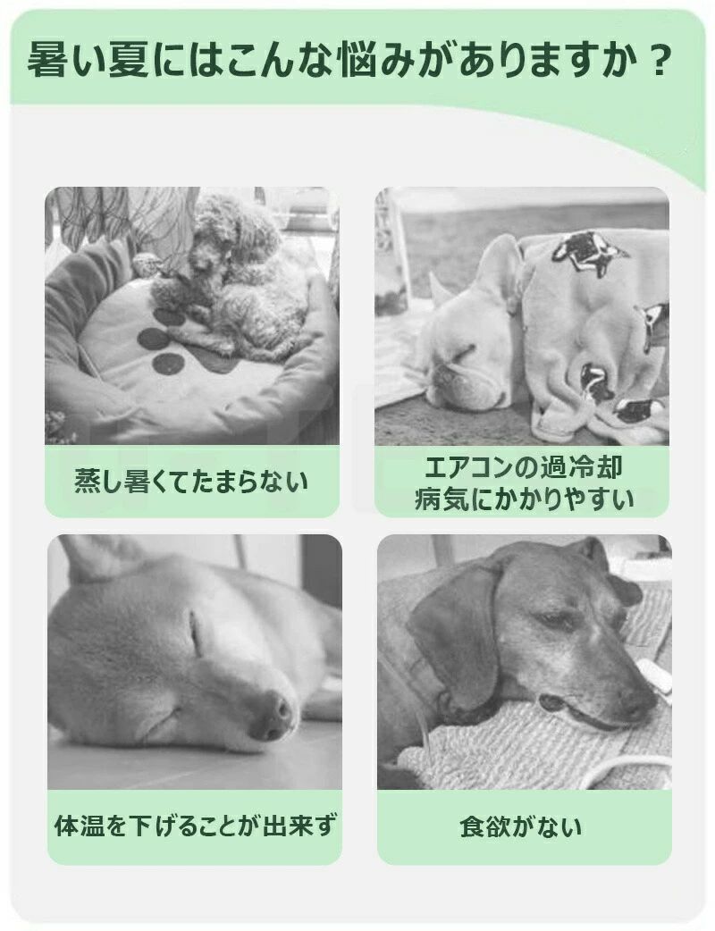 熱中症対策 クッション ひんやり カバー取り外し可 猫 滑り止め 高反発 クッション...