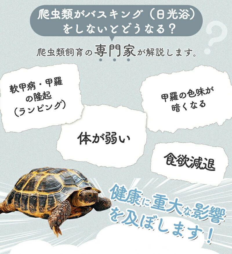 25+50+75W UVA+UVB 爬虫類ライト アナログ太陽 熱帯・亜熱帯 無段階調光 水槽 ブラ...