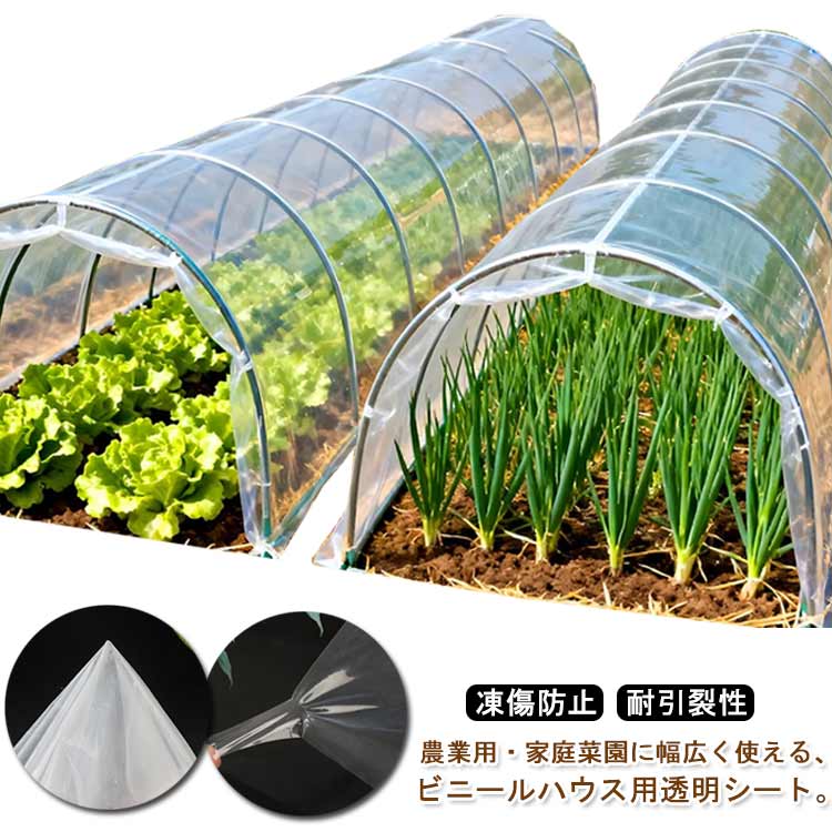 農業用・家庭菜園に幅広く使える、ビニールハウス用透明シート。防水性・保温性に優れ、霜よけ・雨よけ・防寒対策として植物をしっかり保護します。高品質のPE製で、耐引裂性、耐引張性、十分な強度を持ち、耐久性に優れています。日光を十分に通す透明タイプのため、優れた光透過率で、植物の生育環境を妨げません。凍傷防止や温度保持に効果的で、簡易ビニール温室や屋根用カバーとしても活躍します。カット可能なので、用途やサイズに合わせて自由に調整でき、ガーデニングや植物栽培に最適。 サイズ1.5x6m 1.5x8m 1.5x10m 2x5m 2x6m 2x8m 2x10m 2.2x5m 2.2x6m 2.2x8m 2.2x10m 2.5x5m 2.5x6m 2.5x8m 2.5x10m 3x8m 3x10m 4x5m 4x6m 4x8mサイズについての説明1.5x6m1.5x8m1.5x10m2x5m2x6m2x8m2x10m2.2x5m2.2x6m2.2x8m2.2x10m2.5x5m2.5x6m2.5x8m2.5x10m3x8m3x10m4x5m4x6m4x8m素材ポリエチレ色クリア備考サイズ詳細等の測り方はスタッフ間で統一、徹底はしておりますが、実寸は商品によって若干の誤差(1cm〜3cm )がある場合がございますので、予めご了承ください。製造ロットにより、細部形状の違いや、同色でも色味に多少の誤差が生じます。パッケージは改良のため予告なく仕様を変更する場合があります。▼商品の色は、撮影時の光や、お客様のモニターの色具合などにより、実際の商品と異なる場合がございます。あらかじめ、ご了承ください。▼生地の特性上、やや匂いが強く感じられるものもございます。数日のご使用や陰干しなどで気になる匂いはほとんど感じられなくなります。▼同じ商品でも生産時期により形やサイズ、カラーに多少の誤差が生じる場合もございます。▼他店舗でも在庫を共有して販売をしている為、受注後欠品となる場合もございます。予め、ご了承お願い申し上げます。▼出荷前に全て検品を行っておりますが、万が一商品に不具合があった場合は、お問い合わせフォームまたはメールよりご連絡頂けます様お願い申し上げます。速やかに対応致しますのでご安心ください。農業用 ビニールシート ビニールハウス 1.5x6m 1.5x8m 1.5x10m 2x5m 2x6m 2x8m 2x10m 2.2x5m 2.2x6m 2.2x8m 2.2x10m 2.5x5m 2.5x6m 2.5x8m 2.5x10m 3x8m 3x10m 4x5m 4x6m 4x8m農業用・家庭菜園に幅広く使える、ビニールハウス用透明シート。防水性・保温性に優れ、霜よけ・雨よけ・防寒対策として植物をしっかり保護します。高品質のPE製で、耐引裂性、耐引張性、十分な強度を持ち、耐久性に優れています。日光を十分に通す透明タイプのため、優れた光透過率で、植物の生育環境を妨げません。凍傷防止や温度保持に効果的で、簡易ビニール温室や屋根用カバーとしても活躍します。カット可能なので、用途やサイズに合わせて自由に調整でき、ガーデニングや植物栽培に最適。 サイズ1.5x6m 1.5x8m 1.5x10m 2x5m 2x6m 2x8m 2x10m 2.2x5m 2.2x6m 2.2x8m 2.2x10m 2.5x5m 2.5x6m 2.5x8m 2.5x10m 3x8m 3x10m 4x5m 4x6m 4x8mサイズについての説明1.5x6m1.5x8m1.5x10m2x5m2x6m2x8m2x10m2.2x5m2.2x6m2.2x8m2.2x10m2.5x5m2.5x6m2.5x8m2.5x10m3x8m3x10m4x5m4x6m4x8m素材ポリエチレ色クリア備考サイズ詳細等の測り方はスタッフ間で統一、徹底はしておりますが、実寸は商品によって若干の誤差(1cm〜3cm )がある場合がございますので、予めご了承ください。製造ロットにより、細部形状の違いや、同色でも色味に多少の誤差が生じます。パッケージは改良のため予告なく仕様を変更する場合があります。▼商品の色は、撮影時の光や、お客様のモニターの色具合などにより、実際の商品と異なる場合がございます。あらかじめ、ご了承ください。▼生地の特性上、やや匂いが強く感じられるものもございます。数日のご使用や陰干しなどで気になる匂いはほとんど感じられなくなります。▼同じ商品でも生産時期により形やサイズ、カラーに多少の誤差が生じる場合もございます。▼他店舗でも在庫を共有して販売をしている為、受注後欠品となる場合もございます。予め、ご了承お願い申し上げます。▼出荷前に全て検品を行っておりますが、万が一商品に不具合があった場合は、お問い合わせフォームまたはメールよりご連絡頂けます様お願い申し上げます。速やかに対応致しますのでご安心ください。農業用 ビニールシート ビニールハウス 1.5x6m 1.5x8m 1.5x10m 2x5m 2x6m 2x8m 2x10m 2.2x5m 2.2x6m 2.2x8m 2.2x10m 2.5x5m 2.5x6m 2.5x8m 2.5x10m 3x8m 3x10m 4x5m 4x6m 4x8m