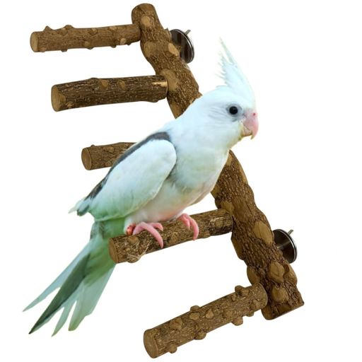 YFFSFDC鳥止まり木5連鳥階段爪を磨く噛むおもちゃ天然木鳥スタンド鳥おもちゃ鳥休み台遊び場バランス練習ストレス解消?ペット用品6点セット