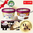 【 おすすめ 】ハーゲンダッツ クリスピーサンド & ミニカップ バニラチョコ セット 12個 / 24個 / 48個 │ ホワイト&ブラック バニラチョコファッジ バニラ ショコラデュオ バニラチョコ ブラック ホワイト クリスピー サンド アイスクリーム