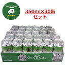 【送料無料】カナダドライ ダイエットジンジャーエール 350ml×30本