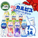 【 おすすめ 】 カルピス 希釈 ボトル アソート 7 種 セット 7本 / 14本 │ お中元 や お歳暮 ギフト に おススメ ! CN20P 1 出産内祝い 結婚内祝い お礼 お返し 引出物 内祝い 粗供養 詰め合わせ ギフトセット