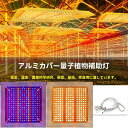 植物育成ライト LED 植物 育つ ライト 高輝度 256個 フルスペクトル 水耕栽培ライト 1000W相当 2段階調光 観葉植物 育苗ライト 低消耗 省エネ ...